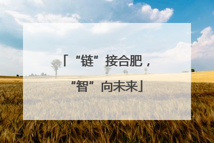 “链”接合肥，“智”向未来