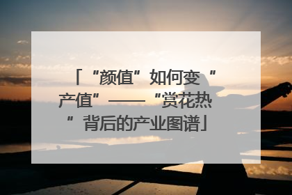 “颜值”如何变“产值”——“赏花热”背后的产业图谱