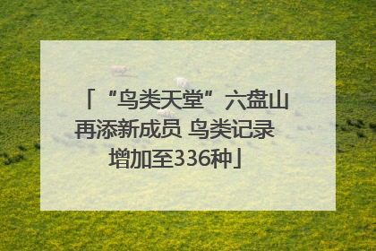 “鸟类天堂”六盘山再添新成员 鸟类记录增加至336种