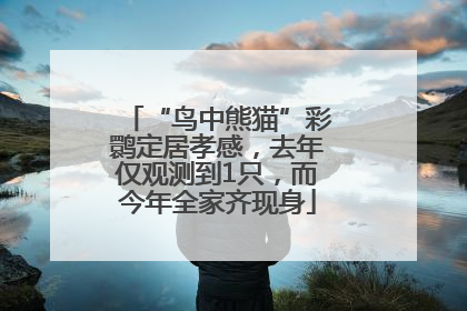 “鸟中熊猫”彩鹮定居孝感，去年仅观测到1只，而今年全家齐现身