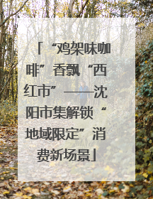 “鸡架味咖啡”香飘“西红市”——沈阳市集解锁“地域限定”消费新场景