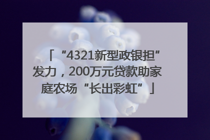 “4321新型政银担”发力，200万元贷款助家庭农场“长出彩虹”