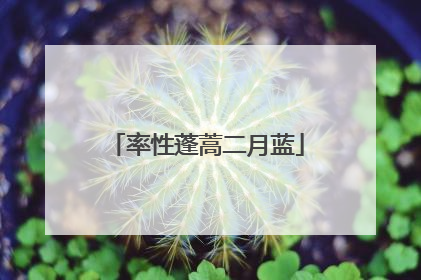 率性蓬蒿二月蓝