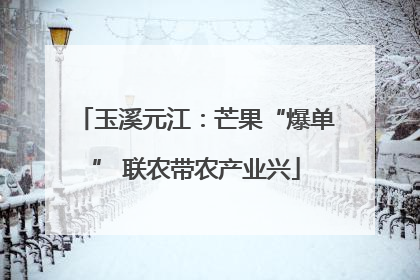 玉溪元江：芒果“爆单” 联农带农产业兴