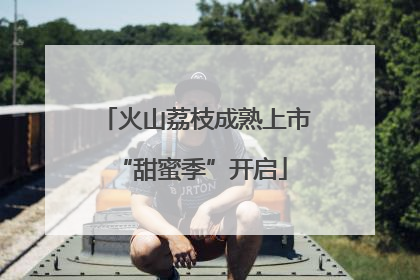 火山荔枝成熟上市 “甜蜜季”开启