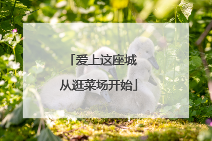 爱上这座城 从逛菜场开始