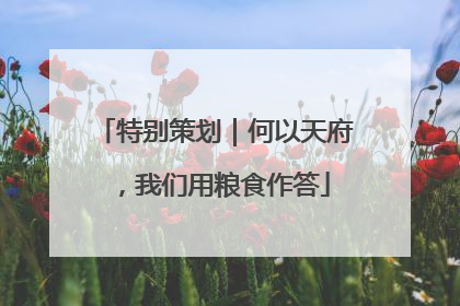 特别策划｜何以天府，我们用粮食作答