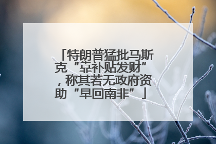 特朗普猛批马斯克“靠补贴发财”，称其若无政府资助“早回南非”