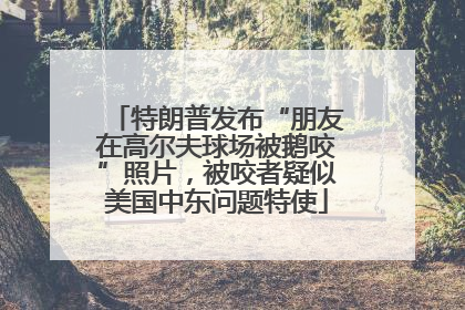 特朗普发布“朋友在高尔夫球场被鹅咬”照片，被咬者疑似美国中东问题特使