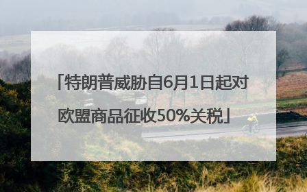 特朗普威胁自6月1日起对欧盟商品征收50%关税