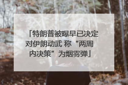特朗普被曝早已决定对伊朗动武 称“两周内决策”为烟雾弹