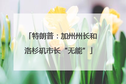 特朗普：加州州长和洛杉矶市长“无能”