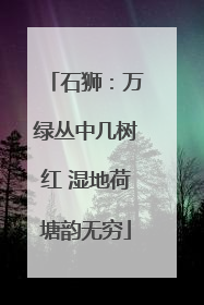 石狮：万绿丛中几树红 湿地荷塘韵无穷