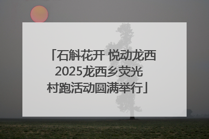 石斛花开 悦动龙西 2025龙西乡荧光村跑活动圆满举行