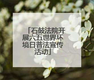 石鼓法院开展六五世界环境日普法宣传活动