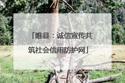 睢县：诚信宣传共筑社会信用防护网