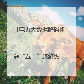 电力大数据解码新疆“五一”旅游热