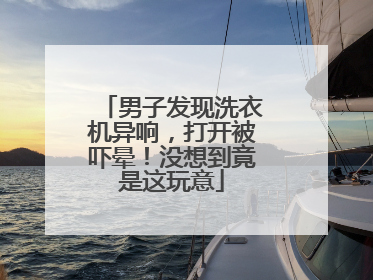男子发现洗衣机异响，打开被吓晕！没想到竟是这玩意