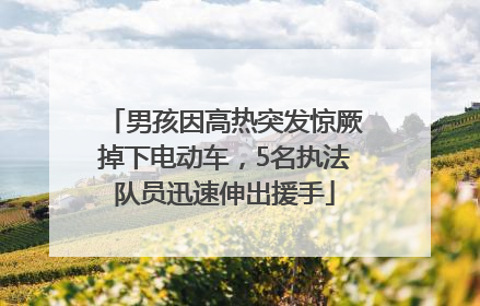 男孩因高热突发惊厥掉下电动车，5名执法队员迅速伸出援手