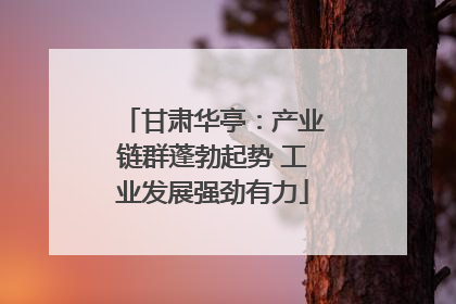 甘肃华亭：产业链群蓬勃起势 工业发展强劲有力