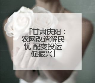 甘肃庆阳：农网改造解民忧 配变投运促振兴