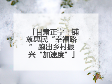 甘肃正宁：铺就惠民“幸福路” 跑出乡村振兴“加速度”