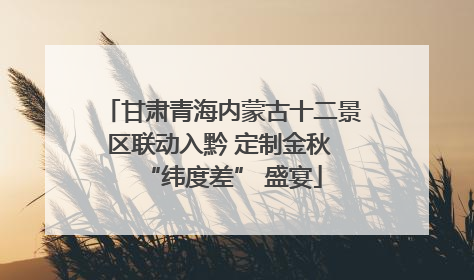 甘肃青海内蒙古十二景区联动入黔 定制金秋 “纬度差” 盛宴