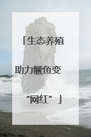 生态养殖助力鳜鱼变“网红”