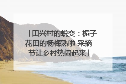 田兴村的蜕变：栀子花田的杨梅熟啦 采摘节让乡村热闹起来
