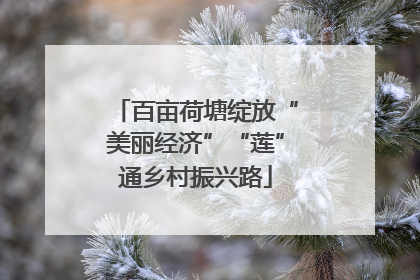 百亩荷塘绽放“美丽经济”“莲”通乡村振兴路