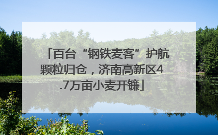 百台“钢铁麦客”护航颗粒归仓，济南高新区4.7万亩小麦开镰