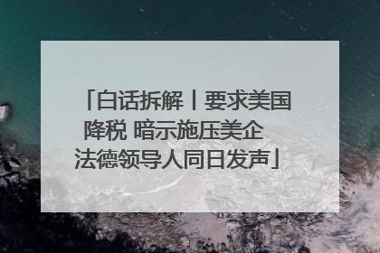 白话拆解丨要求美国降税 暗示施压美企 法德领导人同日发声