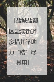盐城盐都区盐渎街道多措并举助力“秸”尽其用