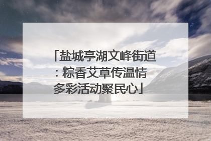 盐城亭湖文峰街道：粽香艾草传温情 多彩活动聚民心
