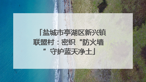 盐城市亭湖区新兴镇联盟村：密织“防火墙”守护蓝天净土