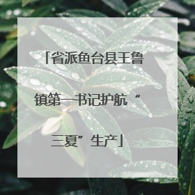 省派鱼台县王鲁镇第一书记护航“三夏”生产