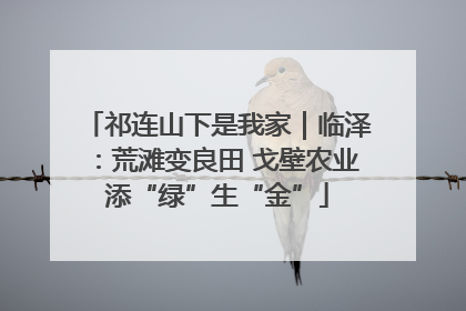 祁连山下是我家｜临泽：荒滩变良田 戈壁农业添“绿”生“金”