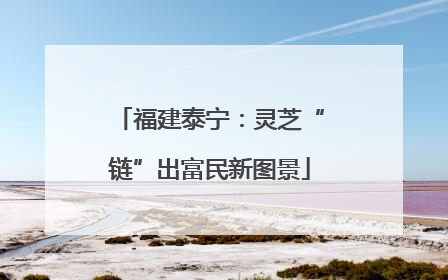 福建泰宁：灵芝“链”出富民新图景