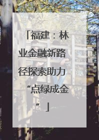 福建：林业金融新路径探索助力“点绿成金”