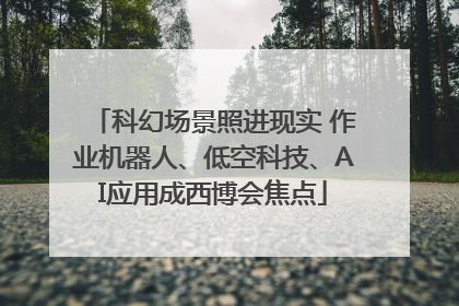 科幻场景照进现实 作业机器人、低空科技、AI应用成西博会焦点
