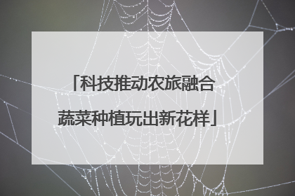 科技推动农旅融合 蔬菜种植玩出新花样