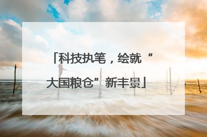 科技执笔，绘就“大国粮仓”新丰景