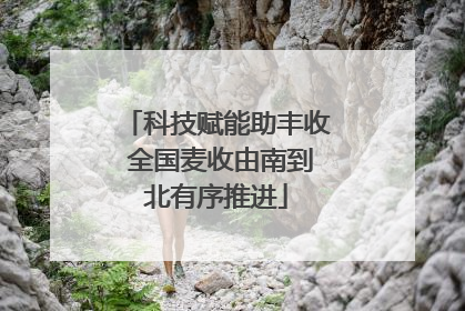 科技赋能助丰收 全国麦收由南到北有序推进