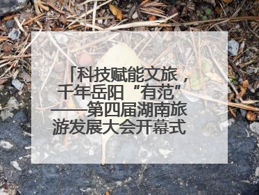 科技赋能文旅，千年岳阳“有范”——第四届湖南旅游发展大会开幕式暨文化旅游推介会侧记