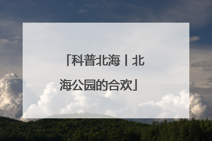 科普北海丨北海公园的合欢