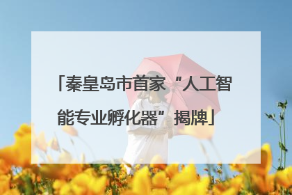 秦皇岛市首家“人工智能专业孵化器”揭牌