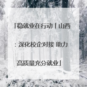 稳就业在行动丨山西：深化校企对接 助力高质量充分就业