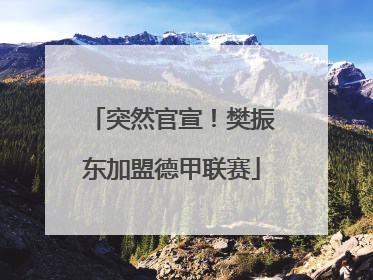 突然官宣！樊振东加盟德甲联赛