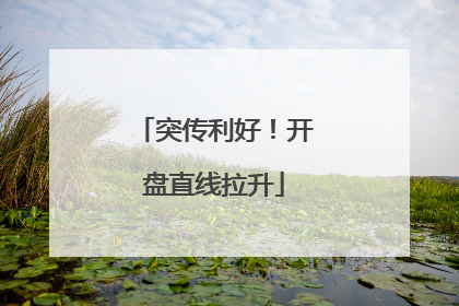 突传利好！开盘直线拉升