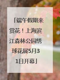 端午假期来赏花！上海滨江森林公园绣球花展5月31日开幕